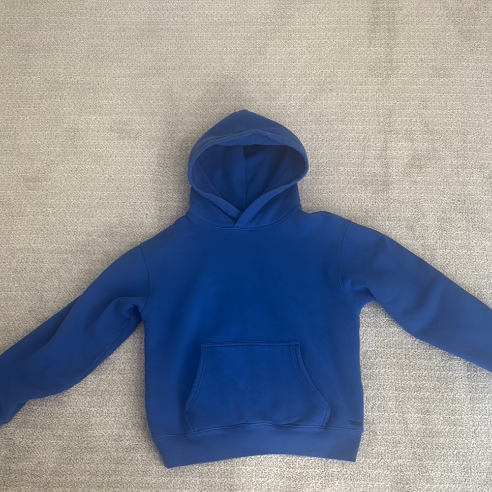 Aritzia TNA cropped hoodie